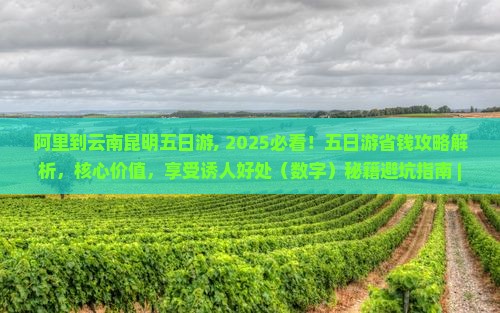 阿里到云南昆明五日游