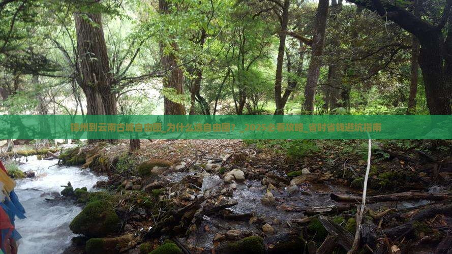 锦州到云南古城自由团 锦州到云南古城自由团