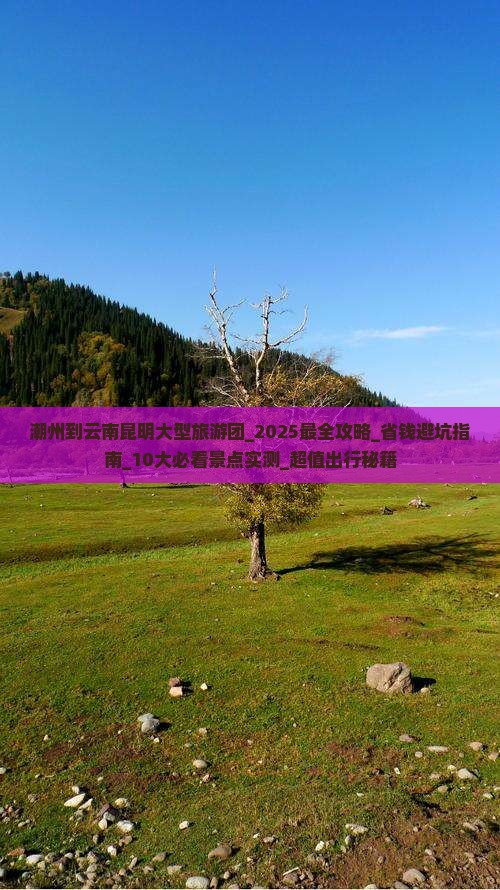 潮州到云南昆明大型旅游团 潮州到云南昆明大型旅游团