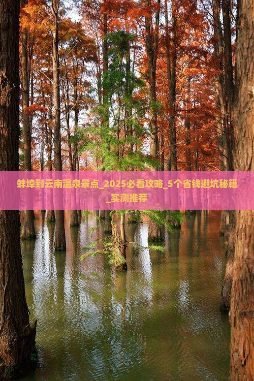 蚌埠到云南温泉景点 蚌埠到云南温泉景点