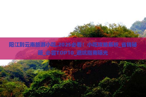 阳江到云南旅游小吃 阳江到云南旅游小吃