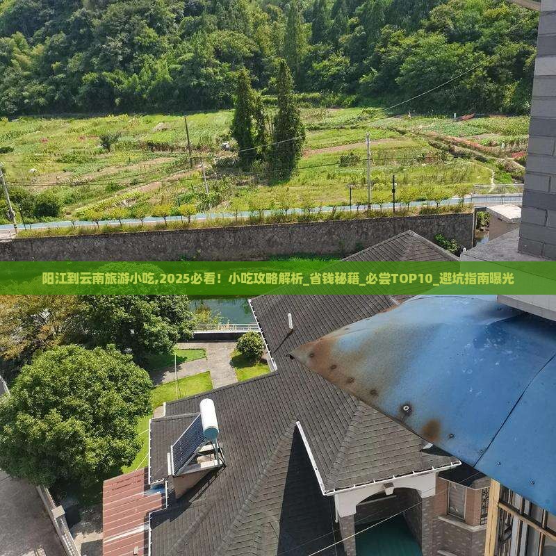 阳江到云南旅游小吃 阳江到云南旅游小吃
