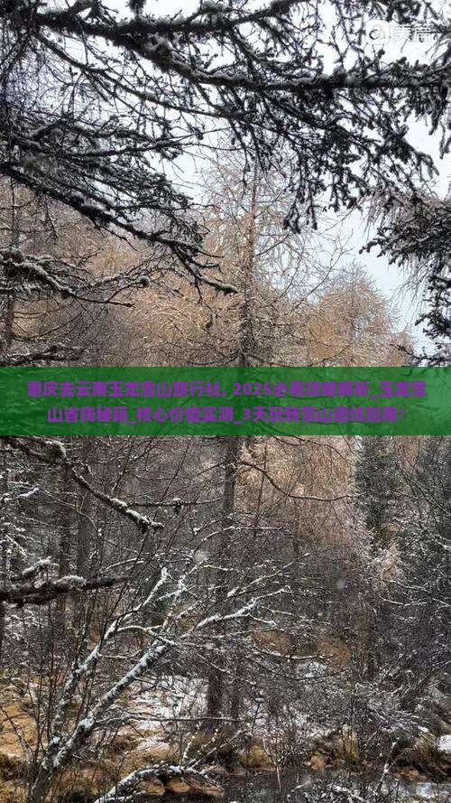 重庆去云南玉龙雪山旅行社