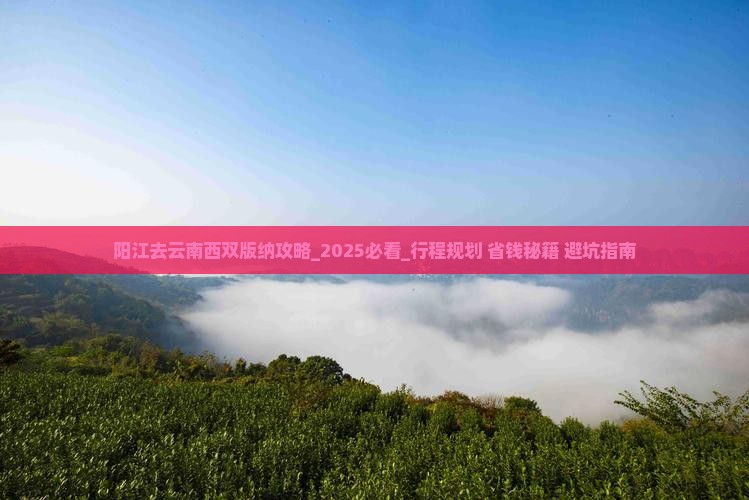 阳江去云南西双版纳攻略