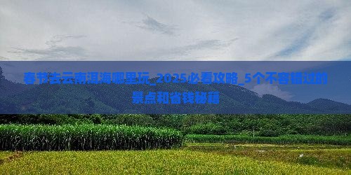 春节去云南洱海哪里玩 春节去云南洱海哪里玩