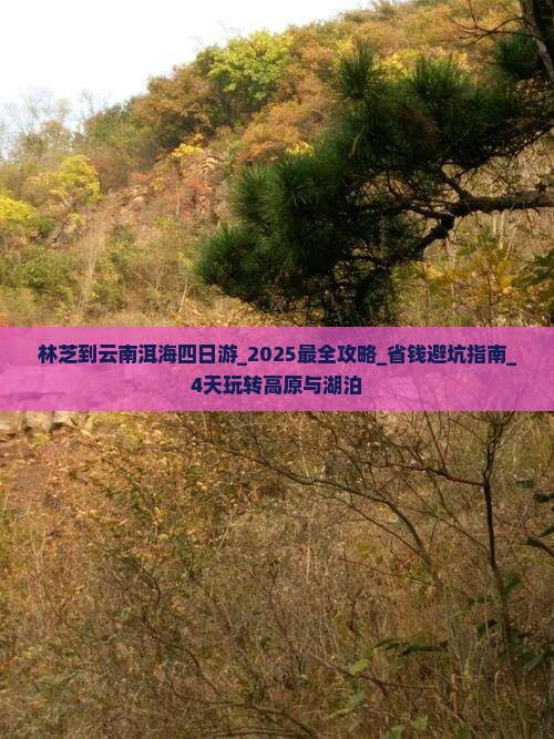 林芝到云南洱海四日游 林芝到云南洱海四日游