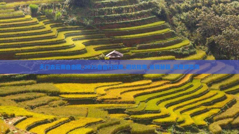 天门去云南自由团 天门去云南自由团
