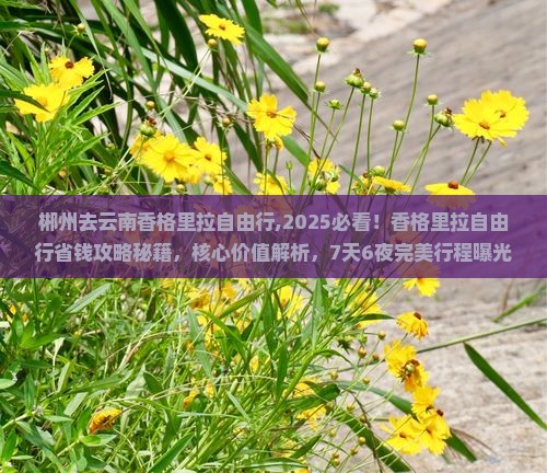 郴州去云南香格里拉自由行 郴州去云南香格里拉自由行