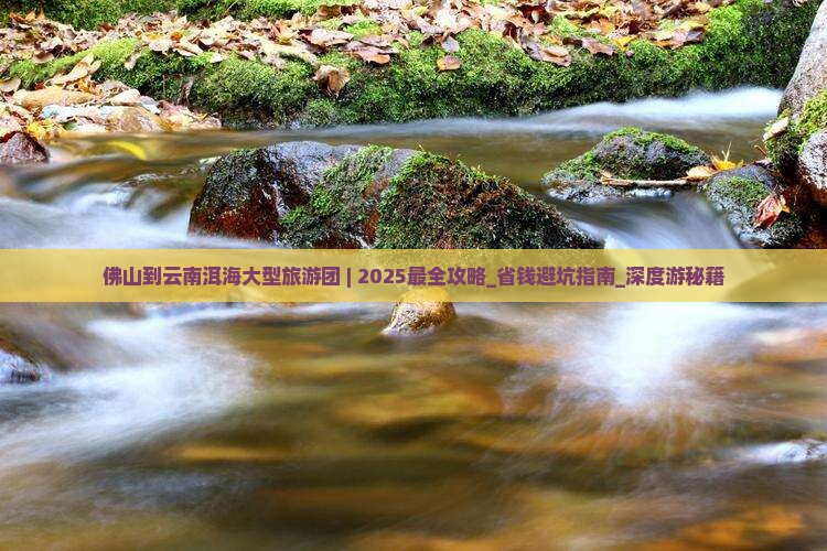 佛山到云南洱海大型旅游团 佛山到云南洱海大型旅游团