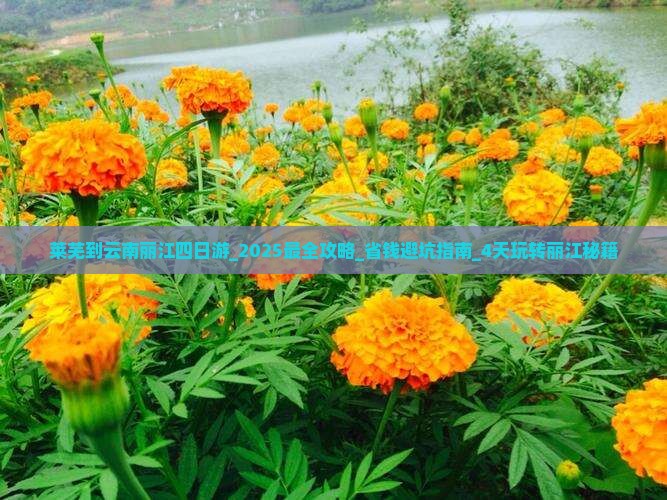 莱芜到云南丽江四日游 莱芜到云南丽江四日游