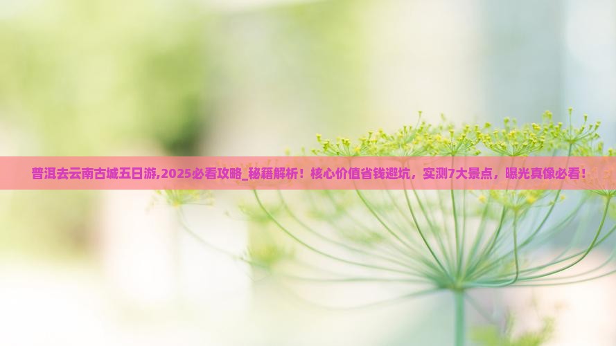普洱去云南古城五日游