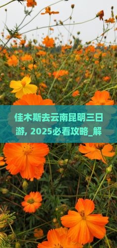 佳木斯去云南昆明三日游