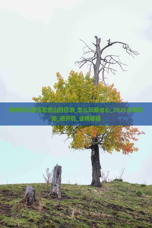 锦州到云南玉龙雪山四日游 锦州到云南玉龙雪山四日游