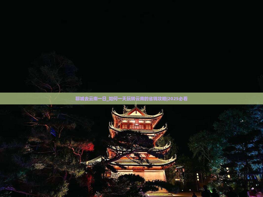 聊城去云南一日 聊城去云南一日