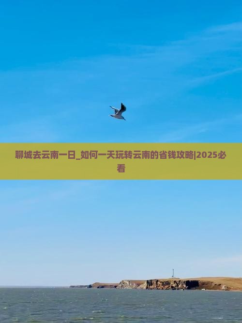 聊城去云南一日 聊城去云南一日