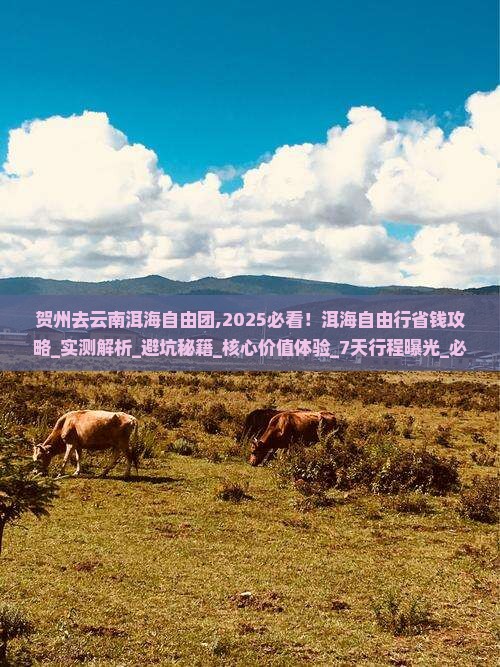 贺州去云南洱海自由团 贺州去云南洱海自由团