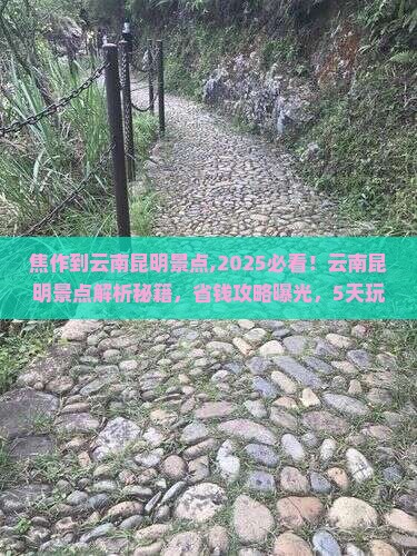 焦作到云南昆明景点