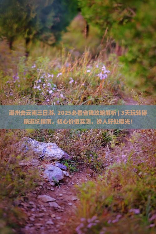 潮州去云南三日游