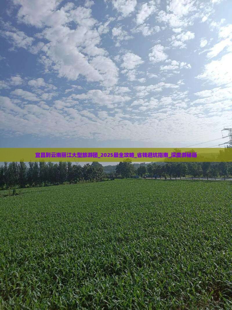 宜昌到云南丽江大型旅游团