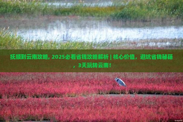 抚顺到云南攻略