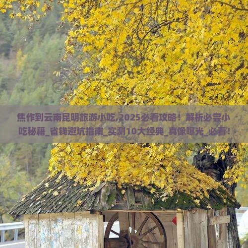 焦作到云南昆明旅游小吃