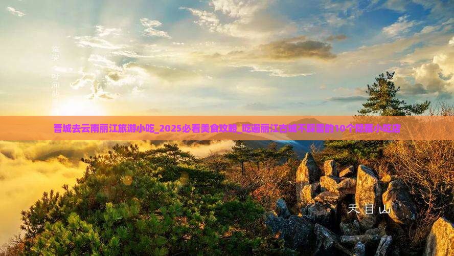 晋城去云南丽江旅游小吃