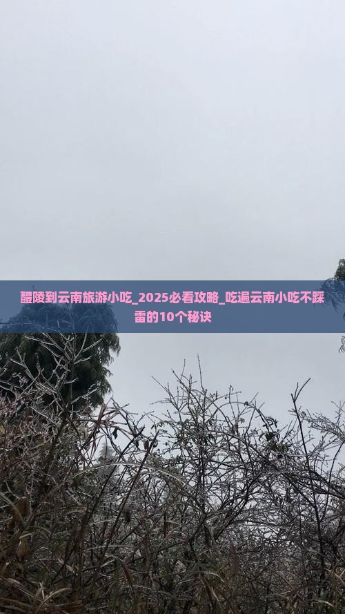 醴陵到云南旅游小吃
