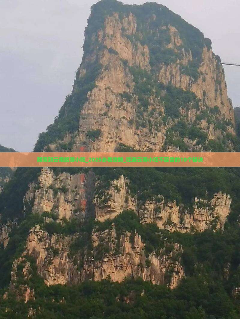 醴陵到云南旅游小吃