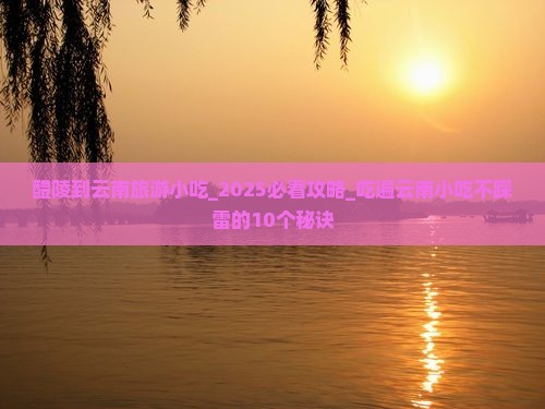 醴陵到云南旅游小吃