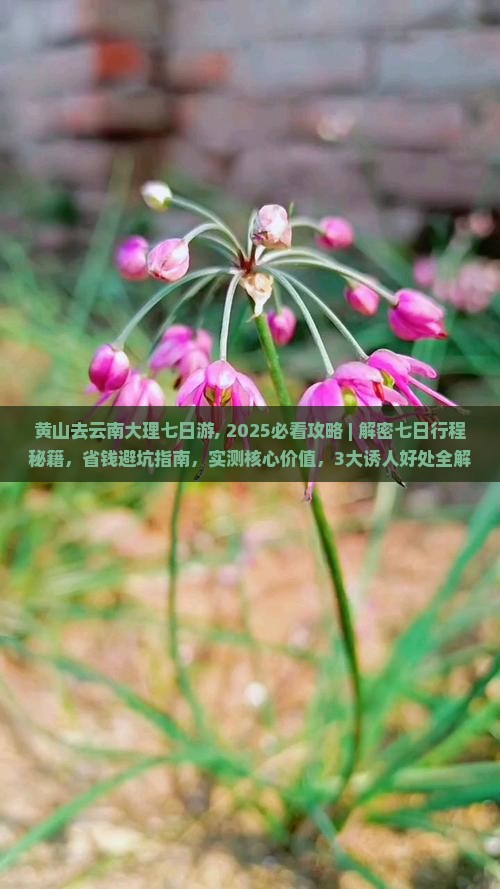 黄山去云南大理七日游