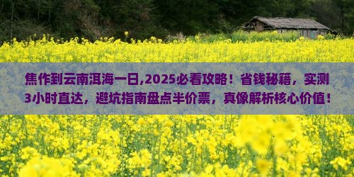 焦作到云南洱海一日