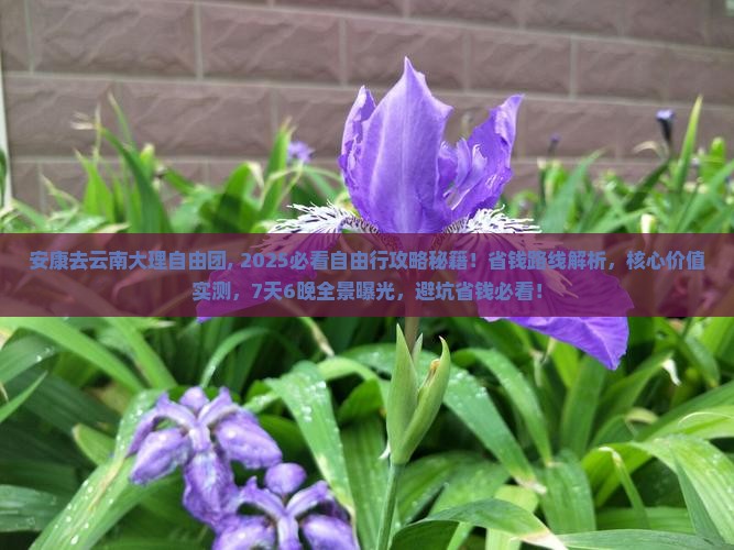 安康去云南大理自由团