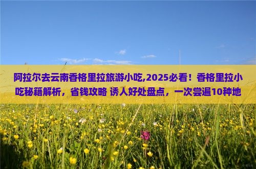 阿拉尔去云南香格里拉旅游小吃