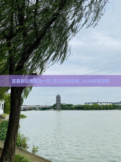 宜昌到云南洱海一日 宜昌到云南洱海一日