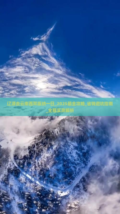 辽源去云南西双版纳一日