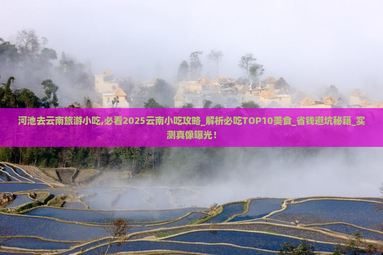 河池去云南旅游小吃