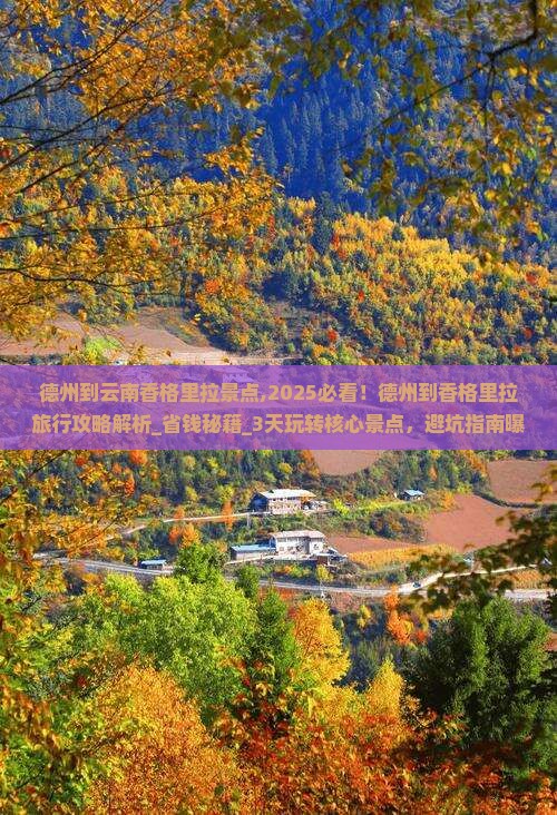 德州到云南香格里拉景点