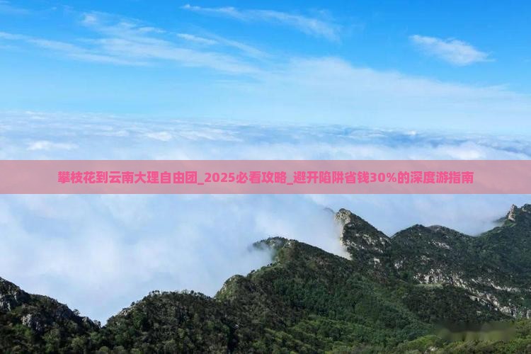 攀枝花到云南大理自由团