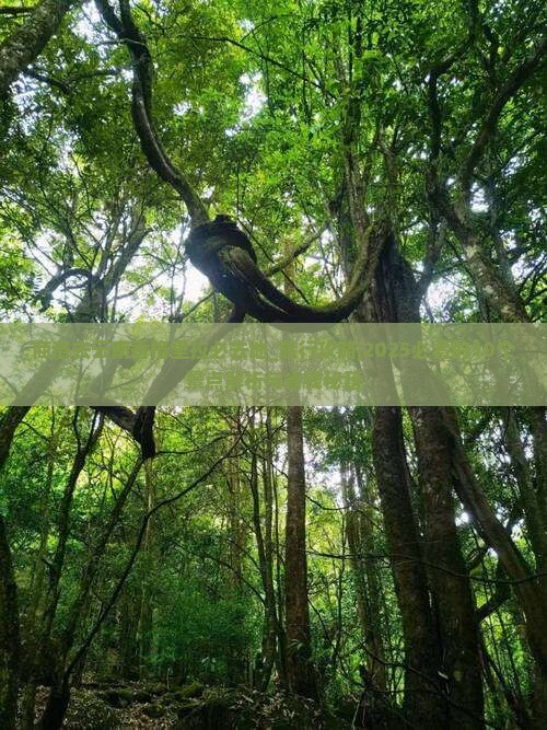 商洛去云南香格里拉必去地 商洛去云南香格里拉必去地