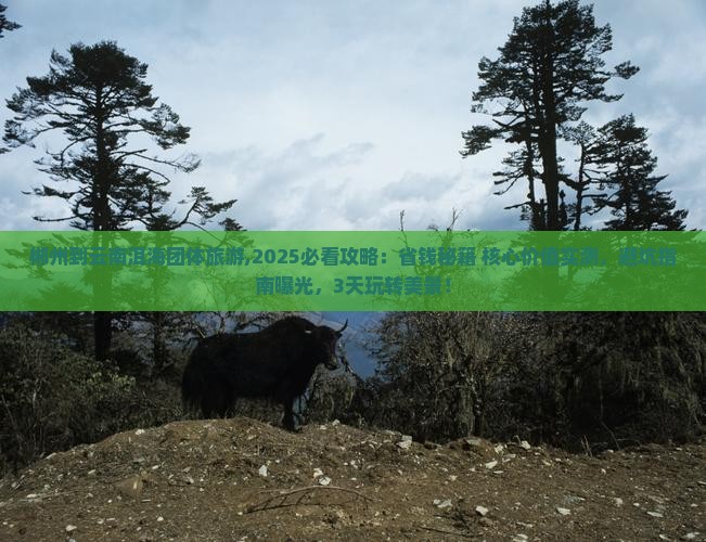 郴州到云南洱海团体旅游
