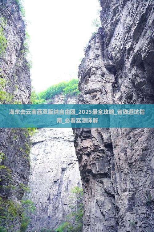 海东去云南西双版纳自由团