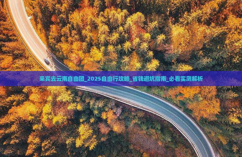 来宾去云南自由团