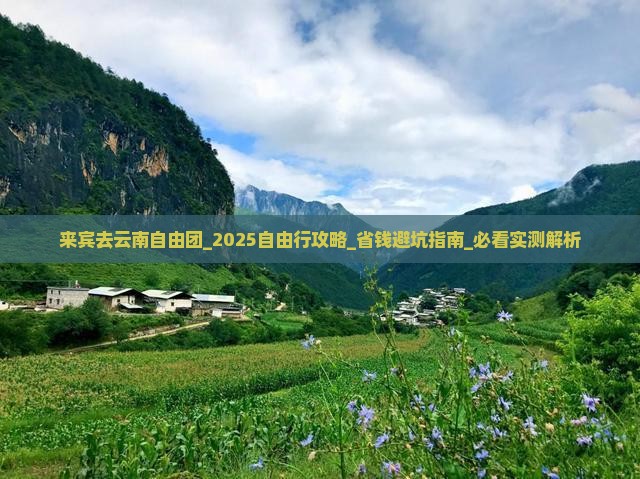 来宾去云南自由团