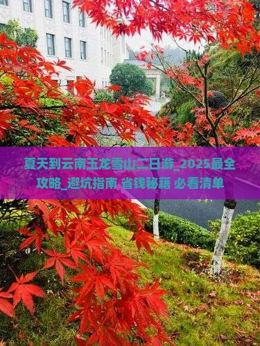 夏天到云南玉龙雪山二日游 夏天到云南玉龙雪山二日游