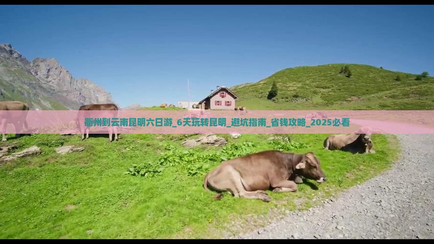 衢州到云南昆明六日游