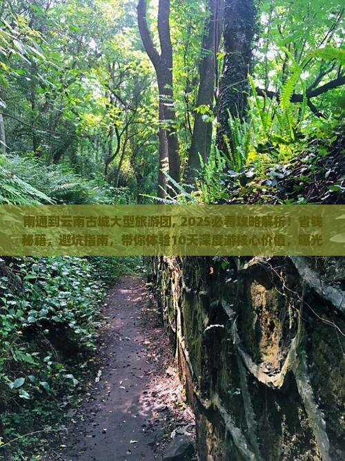 南通到云南古城大型旅游团