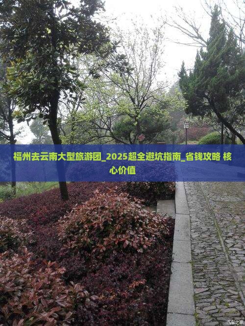 福州去云南大型旅游团