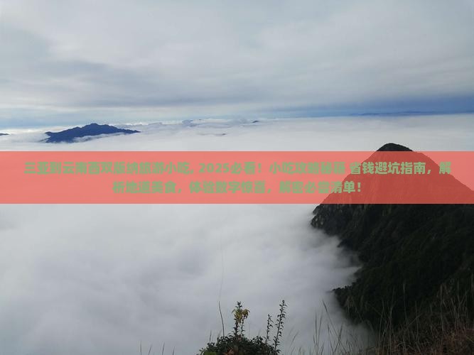 三亚到云南西双版纳旅游小吃