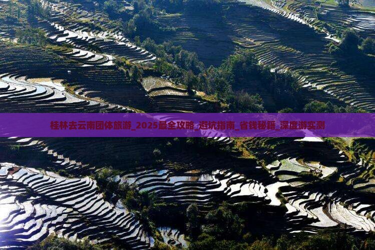 桂林去云南团体旅游 桂林去云南团体旅游
