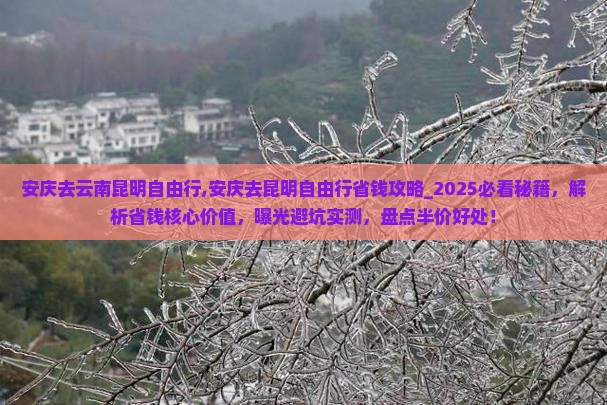 安庆去云南昆明自由行